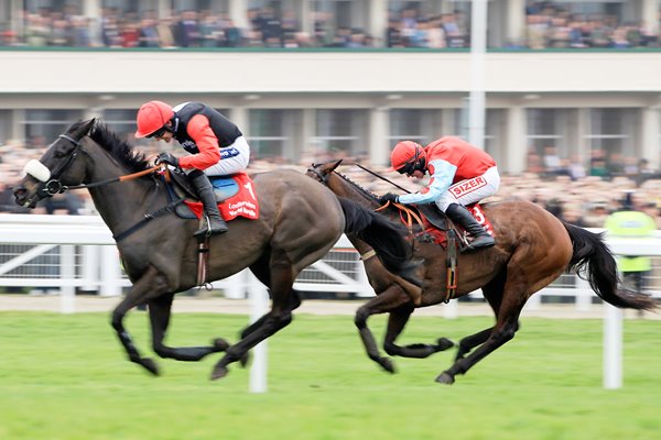 Ruby Walsh and Big Buck's World Hurdle 2012