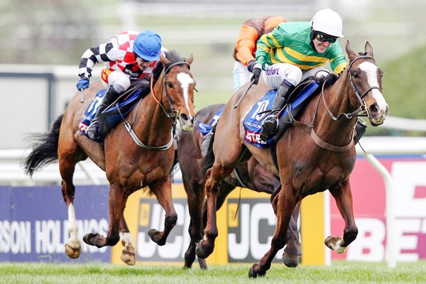 Tony McCoy & Synchronised Gold Cup 2012
