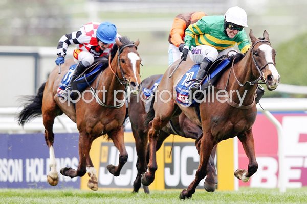 Tony McCoy & Synchronised Gold Cup 2012