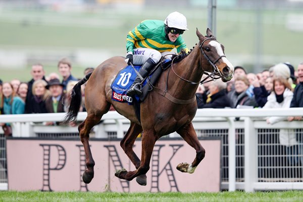 Tony McCoy & Synchronised Gold Cup 2012