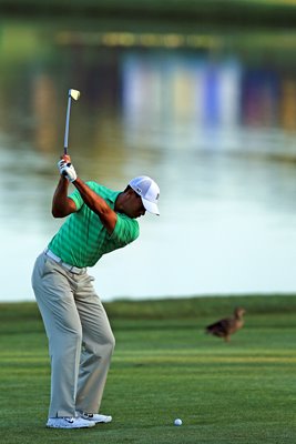 Tiger Woods Arnold Palmer Invitational 2012