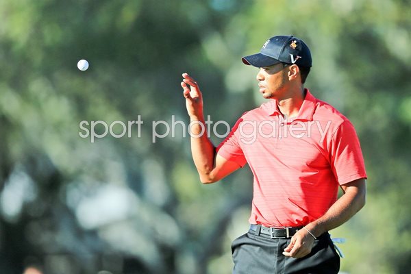 Tiger Woods On the Ball Bay - Hill 2012