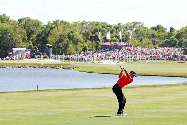 Tiger Woods Bay Hill 6th Hole 2012