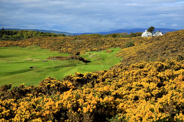 Par 3, 6th Hole Royal Dornoch Golf Club