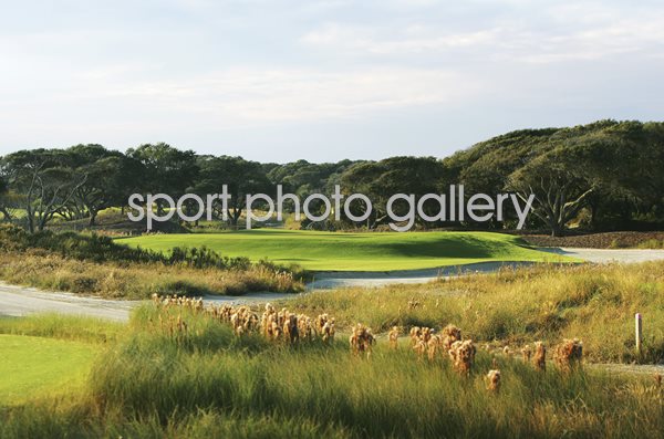 Kiawah Island, South Carolina Ocean Course 8th hole