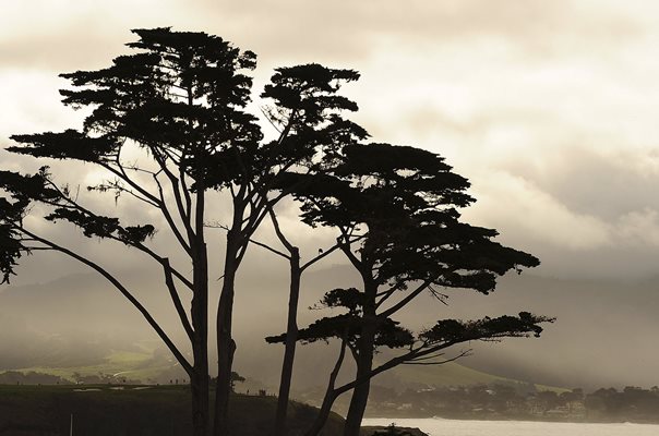 Pebble Beach Golf Links, California 6th & 7th hole