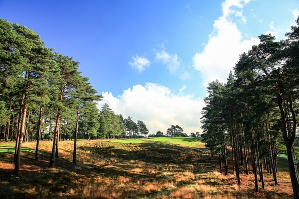 Berkshire Golf Club 10th Hole Red Course 2014