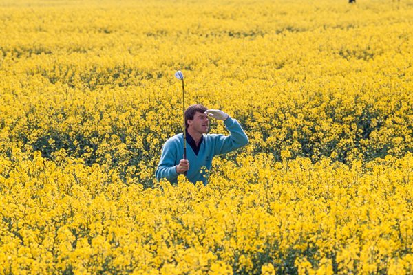 Faldo In The Rough 1990