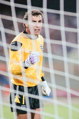 Peter Shilton England 1990 World Cup