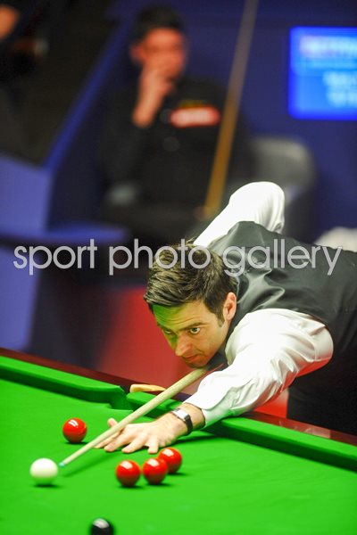 Ronnie O'Sullivan World Snooker Champion 2012