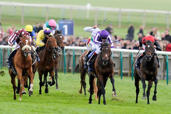 Camelot & Joseph O'Brien 2000 Guineas 2012