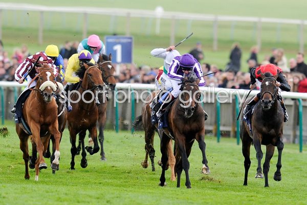 Camelot & Joseph O'Brien 2000 Guineas 2012