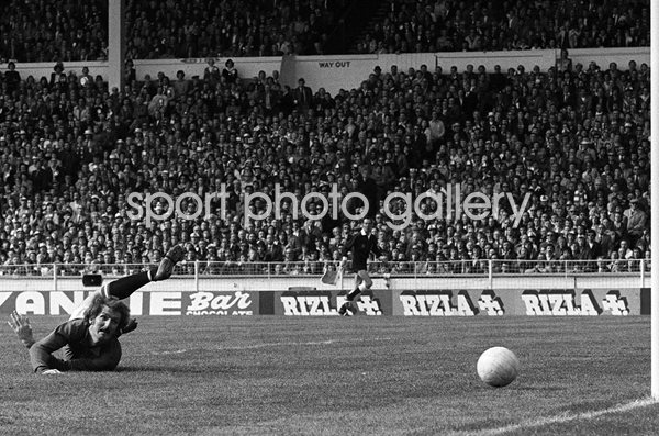 Alex Stepney Southampton FA Cup Final Wembley 1976 