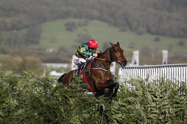 Jamie Codd on Cause Of Causes Cheltenham Festival 2017