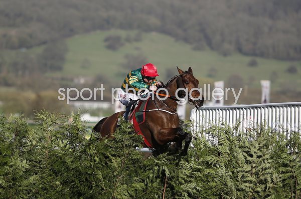 Jamie Codd on Cause Of Causes Cheltenham Festival 2017