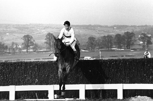 Arkle and Pat Taaffe win Cheltenham Gold Cup 1965