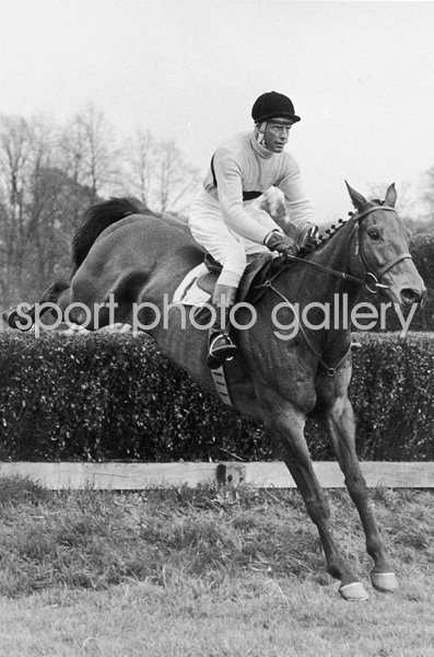 Pat Taaffe on Arkle Whitbread Gold Cup Sandown Park 1965