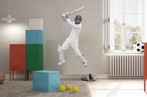 Moeen Ali lifesize wall sticker