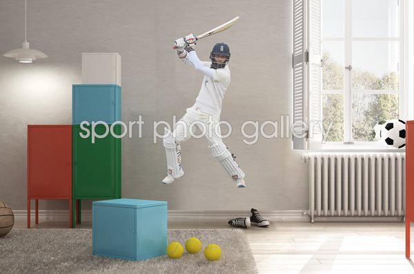 Moeen Ali lifesize wall sticker
