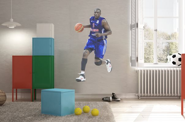 Luol Deng Wall Sticker