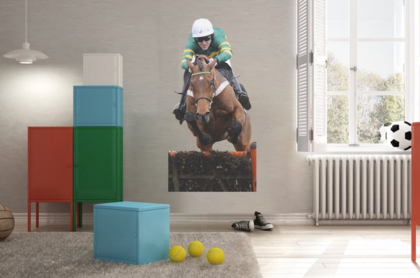 AP McCoy & Binocular Wall Sticker