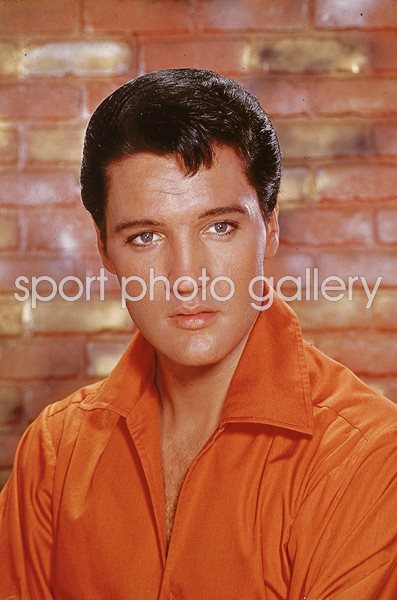 Elvis Presley portrait 