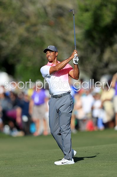 Tiger Woods Honda Classic PGA National Florida 2018