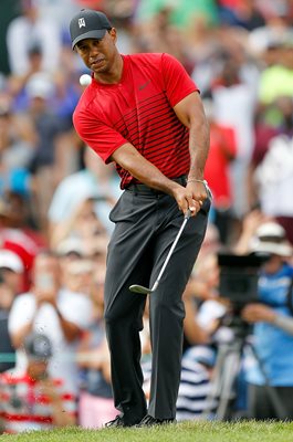 Tiger Woods Valspar Championship Innisbrook Florida 2018