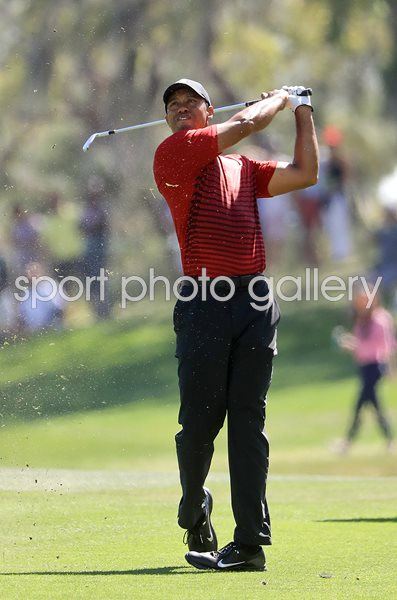 Tiger Woods Valspar Championship Innisbrook Florida 2018