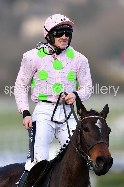 Ruby Walsh & Benie Des Dieux Mares Hurdle Cheltenham 2018