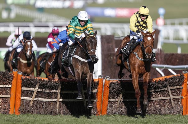 Barry Geraghty & Buveur D'Air Champion Hurdle Cheltenham 2018