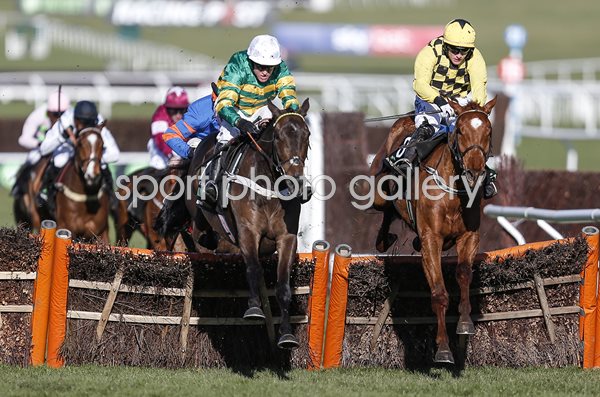 Barry Geraghty & Buveur D'Air Champion Hurdle Cheltenham 2018