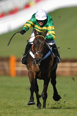 Barry Geraghty & Buveur D'Air Champion Hurdle Cheltenham 2018