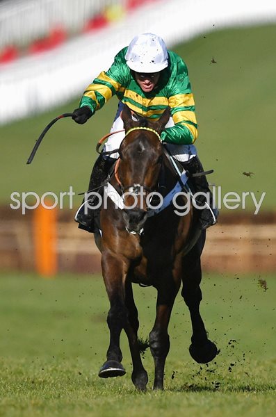 Barry Geraghty & Buveur D'Air Champion Hurdle Cheltenham 2018