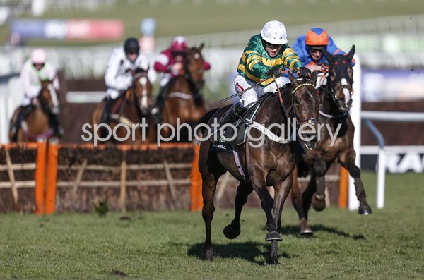 Barry Geraghty & Buveur D'Air Champion Hurdle Cheltenham 2018