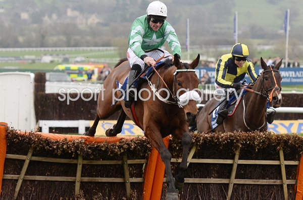 Davy Russell Presenting Percy Novices Steeple Chase Cheltenham 2018
