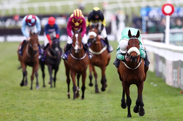 Davy Russell Presenting Percy Novices Steeple Chase Cheltenham 2018