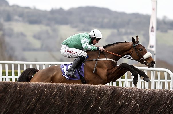 Davy Russell Presenting Percy Novices Steeple Chase Cheltenham 2018