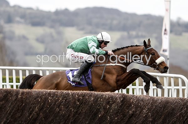 Davy Russell Presenting Percy Novices Steeple Chase Cheltenham 2018