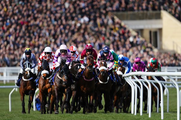 Horses and Jockeys Main Stand Cheltenham Festival 2018