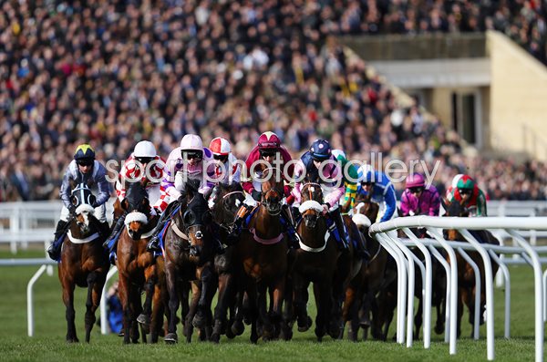 Horses and Jockeys Main Stand Cheltenham Festival 2018