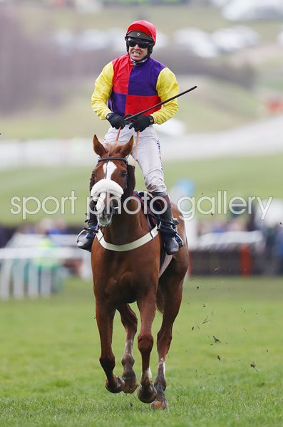 Richard Johnson & Native River win Cheltenham Gold Cup 2018
