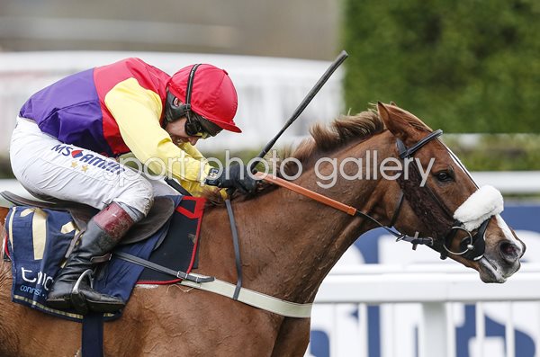 Richard Johnson & Native River win Cheltenham Gold Cup 2018