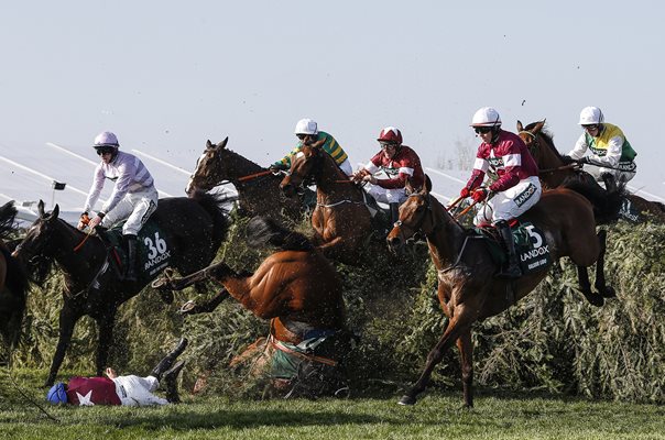 Davy Russell & Tiger Roll win Grand National Aintree 2018