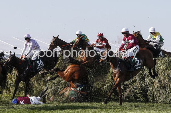 Davy Russell & Tiger Roll win Grand National Aintree 2018