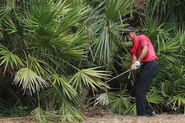 Tiger Woods Players Championship TPC Sawgrass 2018