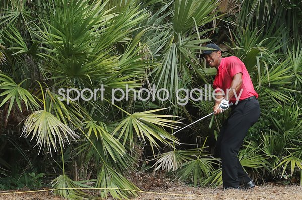 Tiger Woods Players Championship TPC Sawgrass 2018