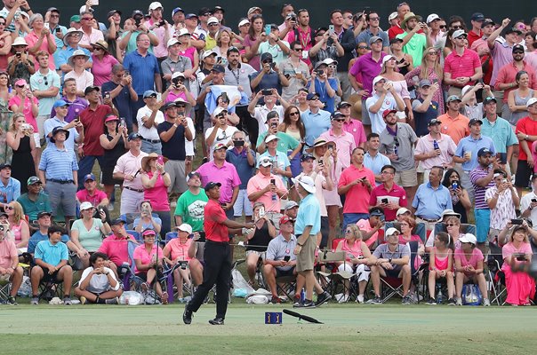 Tiger Woods 17th Hole Players Championship TPC Sawgrass 2018