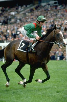 Walter Swinburn & Shergar Royal Ascot 1981