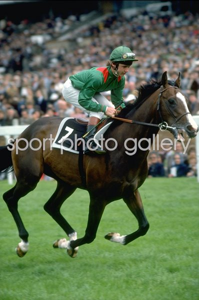 Walter Swinburn & Shergar Royal Ascot 1981